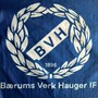 BVH gutta 2025 (Radio Edit)