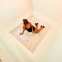 Letters To You (Explicit)