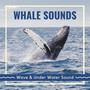 Whale Sounds - Wave & Under Water Sound