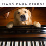 Piano Para Perros