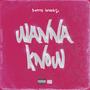 Wanna Know (Explicit)