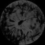 Wild Tarmac EP