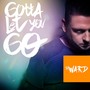 Gotta Let You Go (Radio Edit)