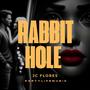 Rabbit Hole