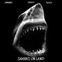 Sharks on land (feat. Cbanzz & K6ixx) [Explicit]