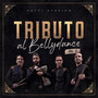 Tributo al Bellydance, Vol. 2