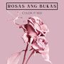 Rosas Ang Bukas