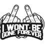 I WONT BE GONE FOREVER (Explicit)