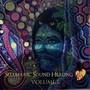 Shamanic Sound Healing, Vol. 1 (Live) [feat. Ale Vayu & Eugene Fed]