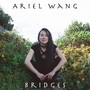 Bridges (Explicit)