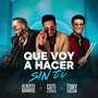 Que Voy a Hacer Sin Ti