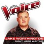 Right Here Waiting (The Voice Performance)