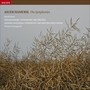 Hamerik, A.: The Symphonies