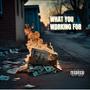 What You Working For (Explicit)