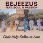 Can't Help Fallin in Love (feat. Soul n Passion)