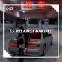 DJ PELANGI BARUKU