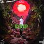 Drip Selvagem (Explicit)