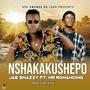 NSHAKAKUSHEPO (feat. Mr Romancing)