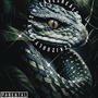 Snakes in Leaves (feat. Kj2ugly) [Explicit]
