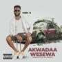 Akwadaa Wesewa (Explicit)