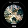 LLC Freestyle (Explicit)