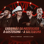 Garanhão Da Madrugada / A Gostosona / A Solteirona (Ao Vivo)