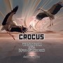 Crocus (feat. Игорь Барановский) [Acoustic Version]