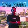 AmaMeter (feat. Naledi Musicly) [Explicit]