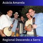 Acácia Amarela (Regional Descendo a Serra)