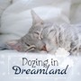 Dozing in Dreamland