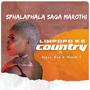 Limpopo Ke Country (feat. Bless_rza & Black T)