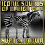 Iconic Sounds of Africa Vol, 6