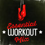 Essential Workout Mix