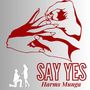 Say Yes