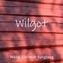 Wilgot