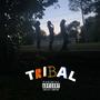 TRIBAL (Explicit)