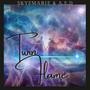 Twin Flame (Explicit)