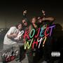 Project Why? (Explicit)