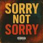 Sorry Not Sorry (Remix) [Explicit]
