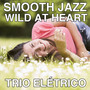 Smooth Jazz Wild at Heart