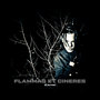 Flammas Et Cineres (Explicit)