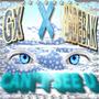 Can't See U (feat. GX Mixing) [Explicit]