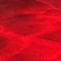 void (test)