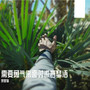 需要勇气来面对流言蜚语