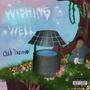 Wishing Well (Explicit)