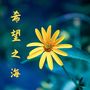 希望之海：用于了解内心想法的背景音乐