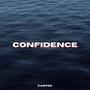 Confidence