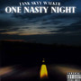 One Nasty Night (Explicit)