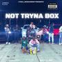 Not Tryna Box (feat. Rxchiie Zoo) [Explicit]