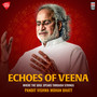 Echoes of Veena - Where the Soul Speaks through Strings